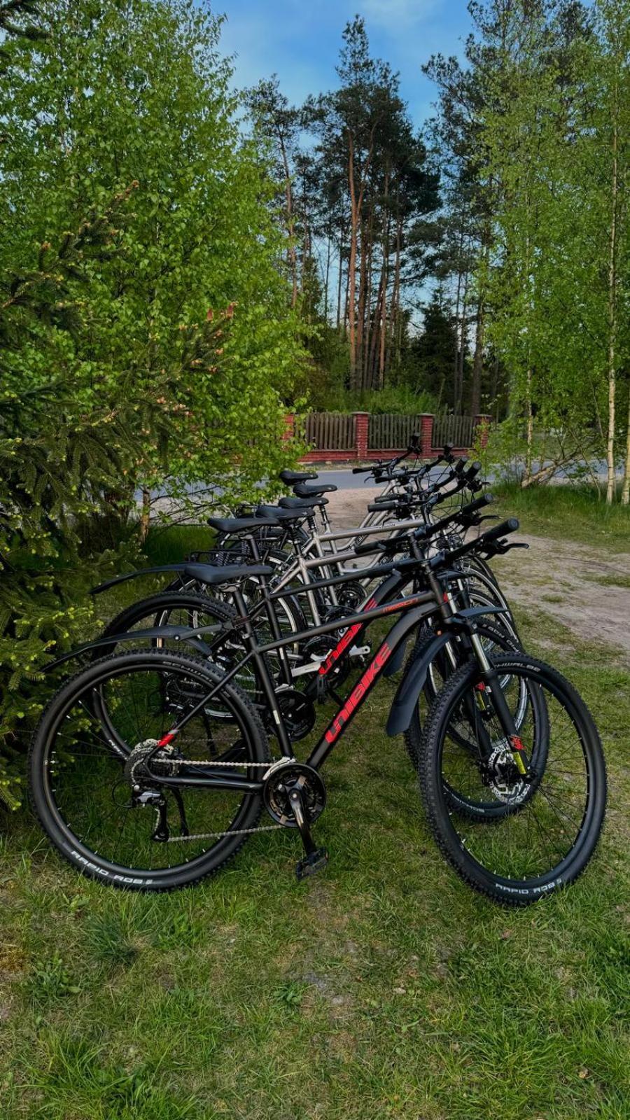 Domki Wypoczynkowe Las Śliwice Extérieur photo